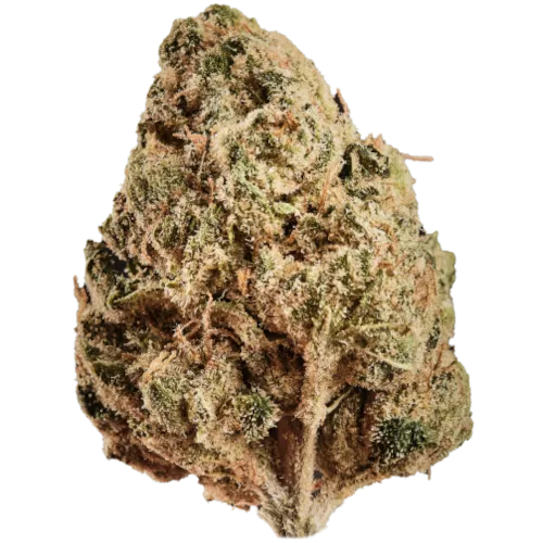 Bild Cannabisblüte Huala 22/1 CA ALM Alien Mints