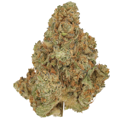 Bild Cannabisblüte Cannamedical Sativa forte Venomz Eve