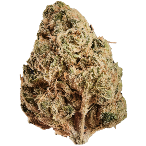 Bild Cannabisblüte Huala 27/1 CA ALM Alien Mints
