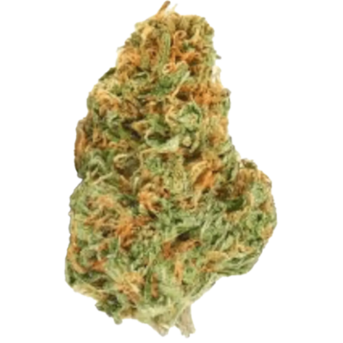 Bild Cannabisblüte avaay 27/1 SCG Super Citra G