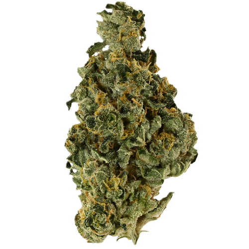 Bild Cannabisblüte Demecan Core Saxonia 28:01 Wedding Cake x Jet Fuel Gelato