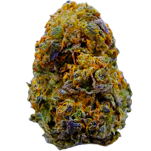 Bild Cannabisblüte aleph amber 24/1 Mango Kush