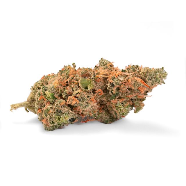 Bild Cannabisblüte 420 Evolution 27/1 CA GMO Cookies