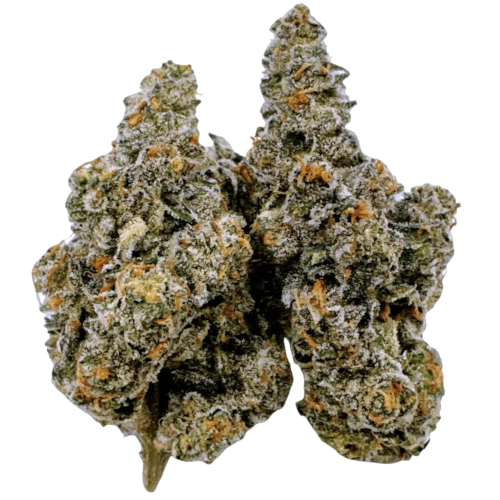Bild Cannabisblüte Bathera 28/1 FA Facetz