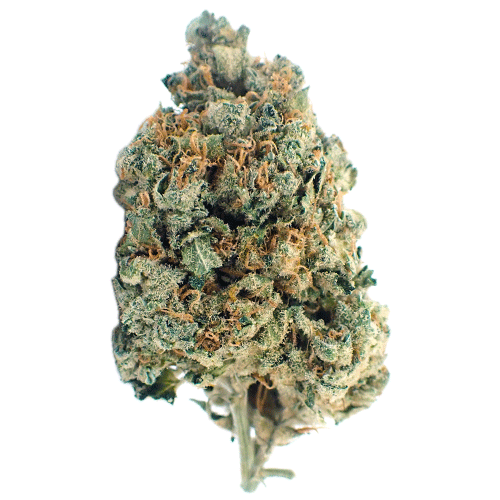 Bild Cannabisblüte Demecan Typ 1  Bubba Kush