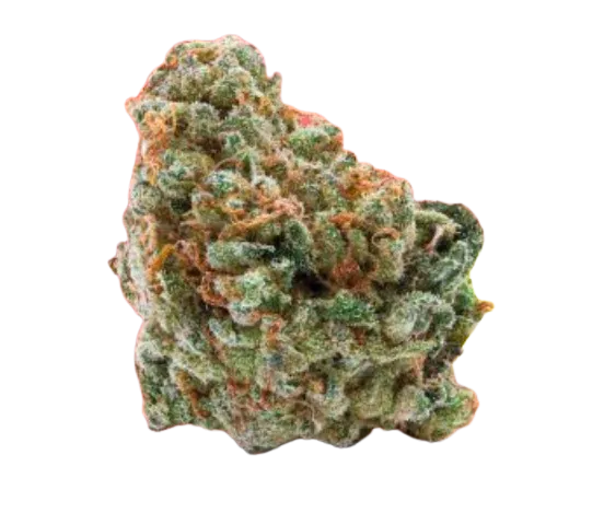 Bild Cannabisblüte 31/1 Amici WC Wedding Cake