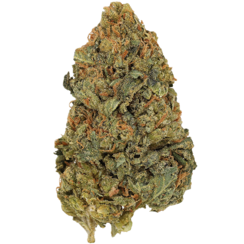 Bild Cannabisblüte Cannamedical Sativa Ultra ES Chem de la Chem