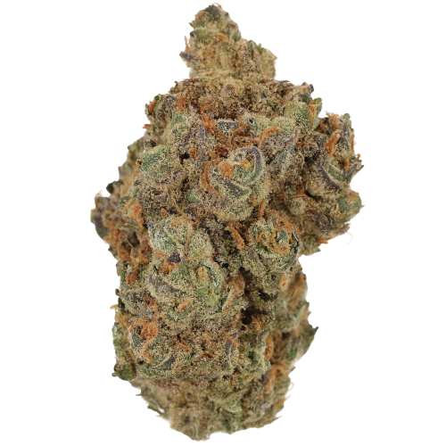 Bild Cannabisblüte Cannamedical Hybrid Forte BC 24/1 Garlic Truffle