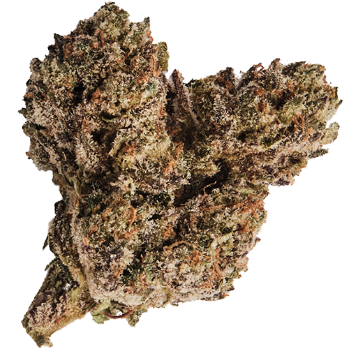 Bild Cannabisblüte 420 Compound 20/1 PT TGY Tigerz Eye