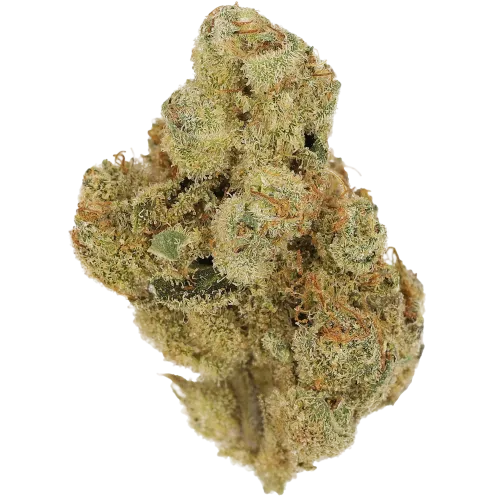 Bild Cannabisblüte Cannamedical Indica Forte BC Tangerine Boost