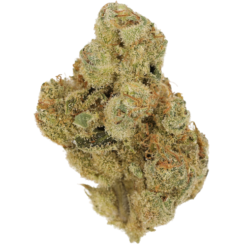Bild Cannabisblüte Cannamedical Indica Forte BC Tangerine Boost