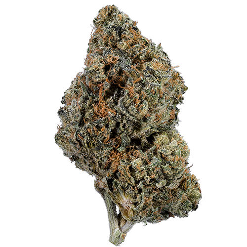 Bild Cannabisblüte enua 21/1 SG CA Sherbert Glue