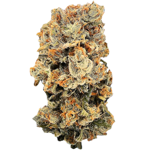 Bild Cannabisblüte aleph swiss Bliss 17/1 Motor Breath