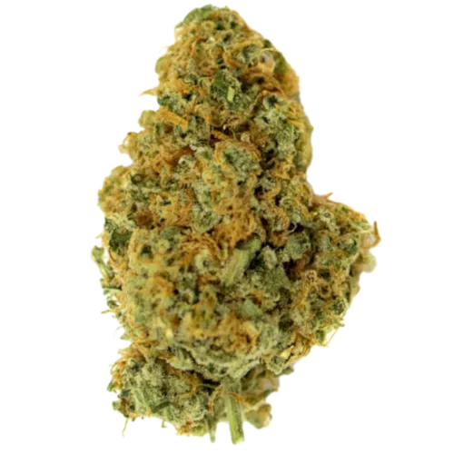 Bild Cannabisblüte Origine Nature CHEM Chemdawg OG
