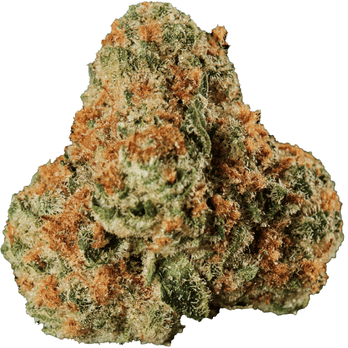 Bild Cannabisblüte Huala 27/1 UK WTR Waffle Truffle