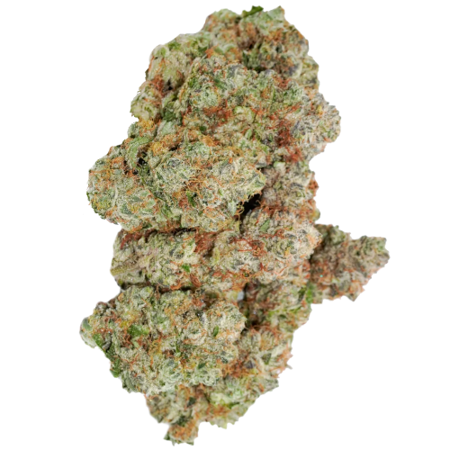 Bild Cannabisblüte avaay Signature 34/1 OGC Ocean Grown Cookies