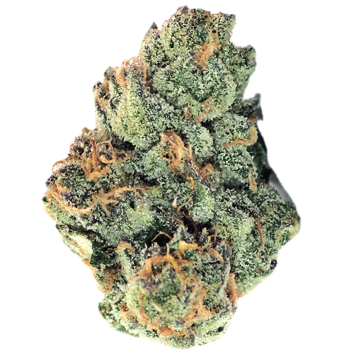 Bild Cannabisblüte Demecan CRAFT OZK x CC 24:01 OZ Kush x Coffin Candy