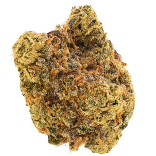 Bild Cannabisblüte J.R. STRAIN L MAC 21/1 Lemon Mac