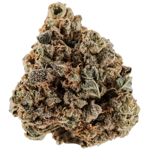 Bild Cannabisblüte Huala 20/1 CA GRF Grape Face