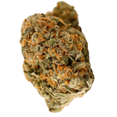 Bild Cannabisblüte Cannamedical Hybrid Forte NM Gorilla Zkittlez