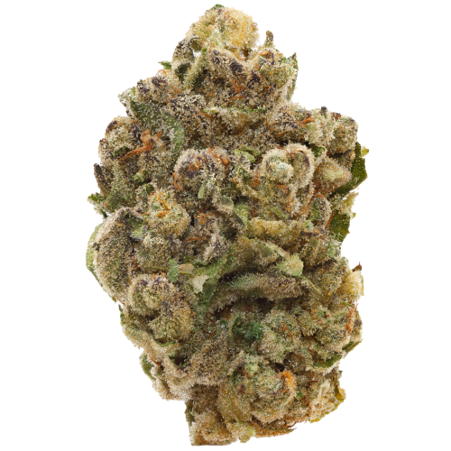 Bild Cannabisblüte Pedanios 27/1 FRG-CA Farm Gas