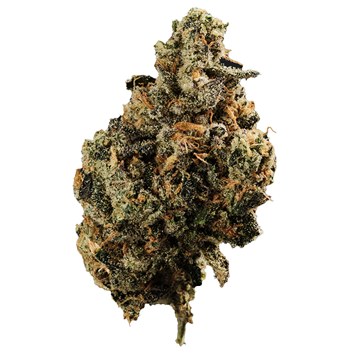 Bild Cannabisblüte 420 Evolution 27/1 FLM CA Frozen Lemon Mints