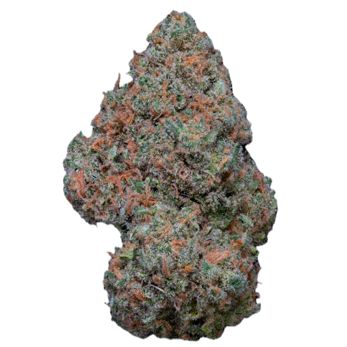 Bild Cannabisblüte aleph green 24/1 Doce da Casa