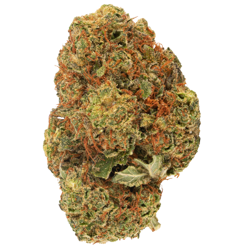 Bild Cannabisblüte Pedanios 24/1 LAC CA LA Confidential