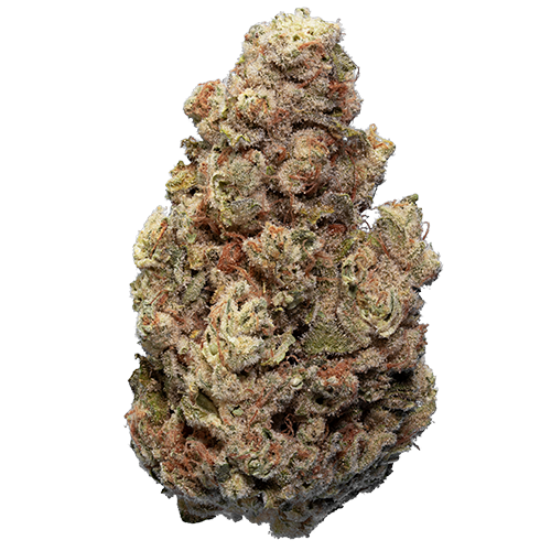 Bild Cannabisblüte enua 27/1 CCK CA Cold Creek Kush