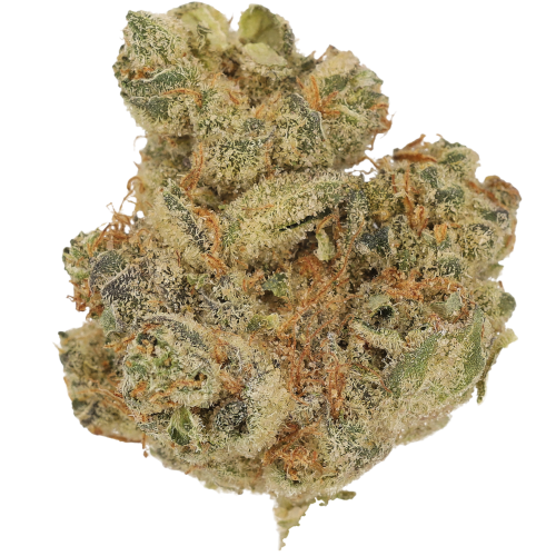 Bild Cannabisblüte Cannamedical CM 28/1 Koko Cookies