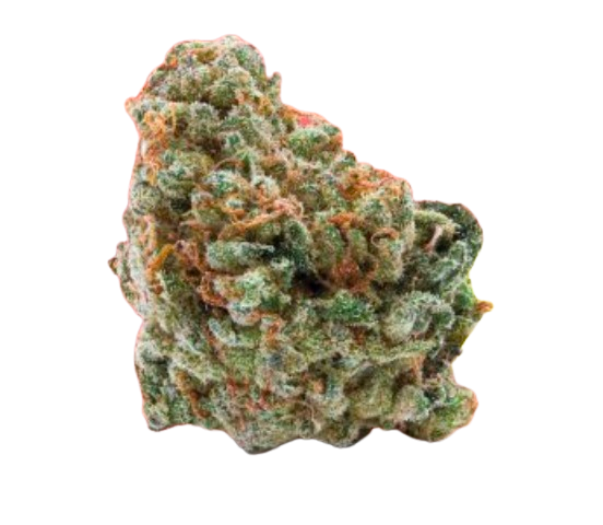 Bild Cannabisblüte 27/1 Amici WC Wedding Cake