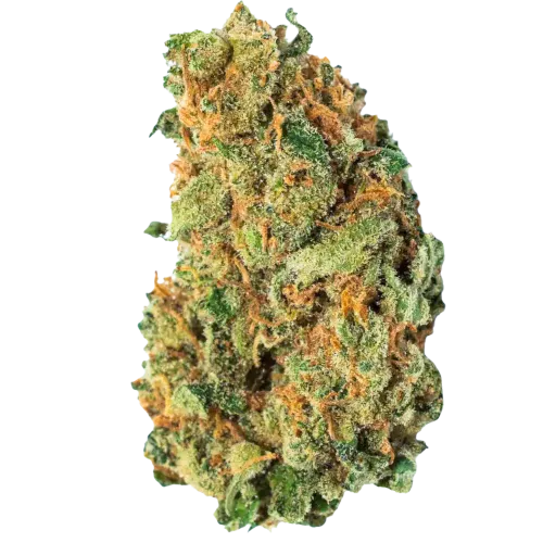 Bild Cannabisblüte avaay 28/1 AHC Amnesia Haze Cake