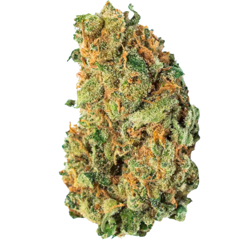 Bild Cannabisblüte avaay 28/1 AHC Amnesia Haze Cake