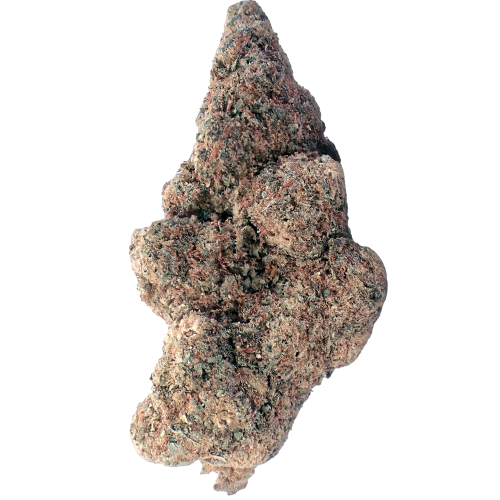 Bild Cannabisblüte Demecan CRAFT FCF 31:01 First Class Funk