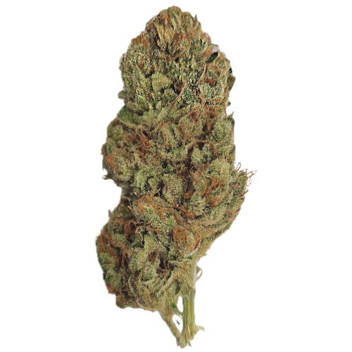 Bild Cannabisblüte aleph air 16/1 Sour Tangie