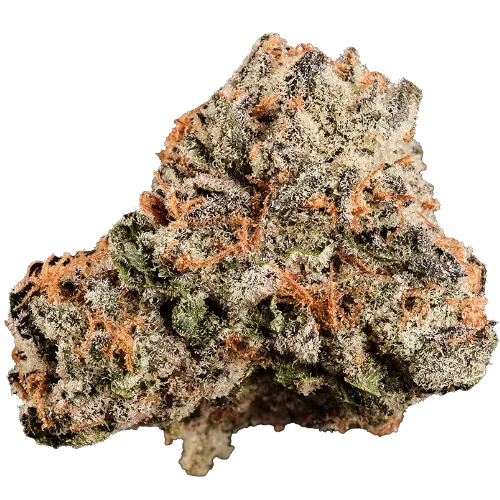 Bild Cannabisblüte 420 Compound 27/1 CA BER Berlin Berries
