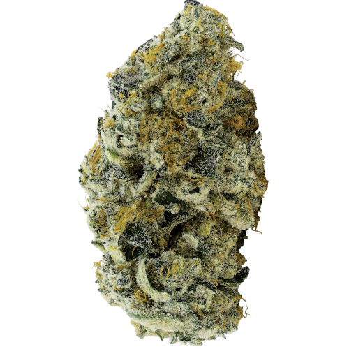 Bild Cannabisblüte avaay 30/1 JFP Jet Fuel Pie