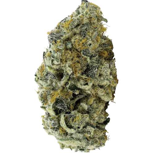 Bild Cannabisblüte avaay 30/1 JFP Jet Fuel Pie