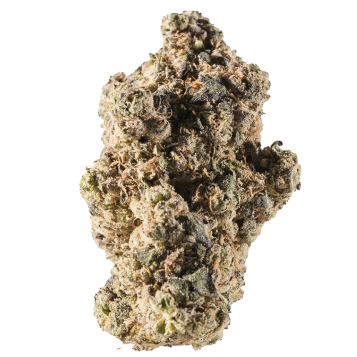 Bild Cannabisblüte avaay Signature 31/1 GOG Gossip Gun