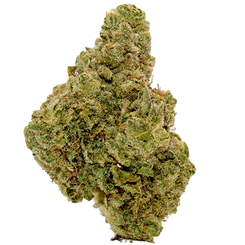 Bild Cannabisblüte All Nations LT 21/1 Lemon Tartz