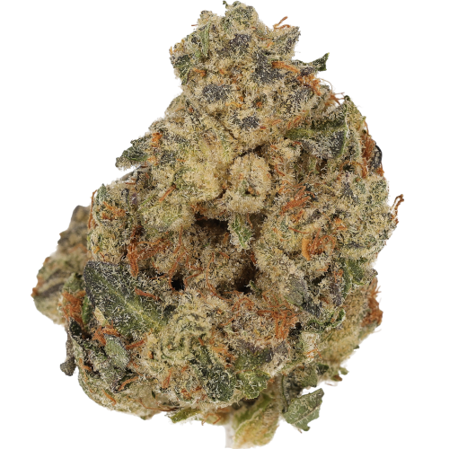 Bild Cannabisblüte Cannamedical CM 30/1 DM Diamond Mints