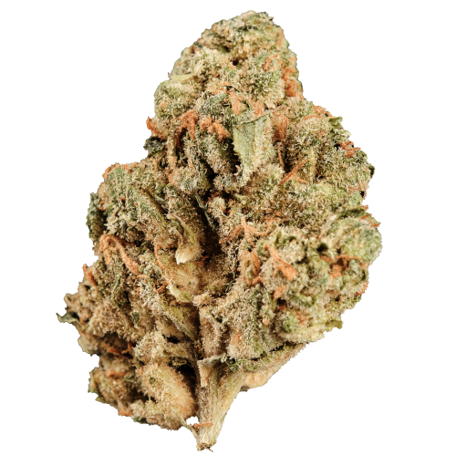 Bild Cannabisblüte Huala 22/1 CA BTR Black Triangle