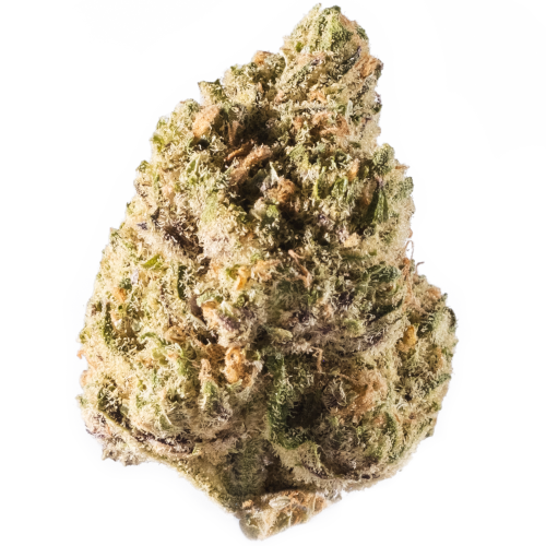 Bild Cannabisblüte avaay 23/1 PYC Peyote Critical