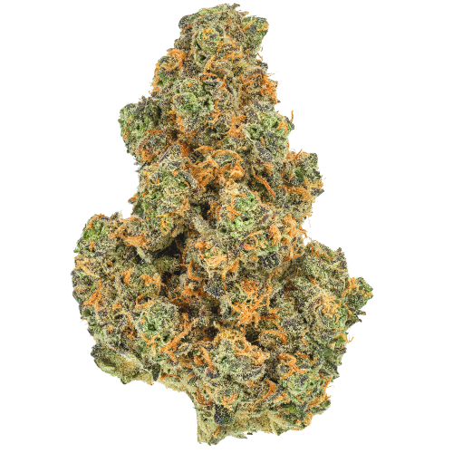 Bild Cannabisblüte Pedanios 27/1 PND-CA Pink Diesel