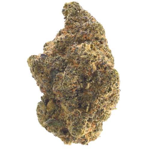 Bild Cannabisblüte LOT 420 GLOC Gelato x Orange Cake