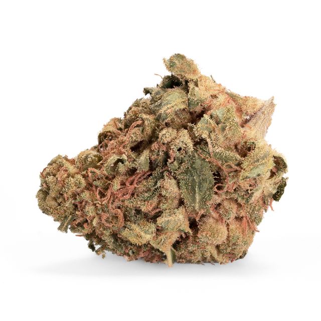 Bild Cannabisblüte IMC THC22 T01 Hindu Kush