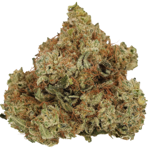 Bild Cannabisblüte Cannamedical Hybrid Forte DK 22/1 Ghost Train Haze