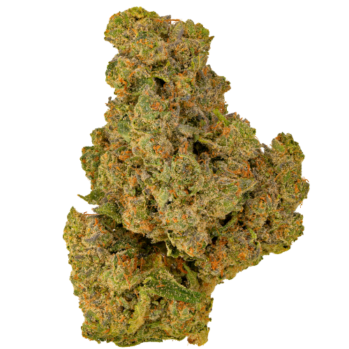 Bild Cannabisblüte Aurora 24/1 PNK-CA Pink Kush