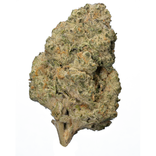 Bild Cannabisblüte enua 22/1 BCP CA Black Cherry Punch