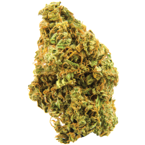 Bild Cannabisblüte avaay 24/1 SK Sour Kush